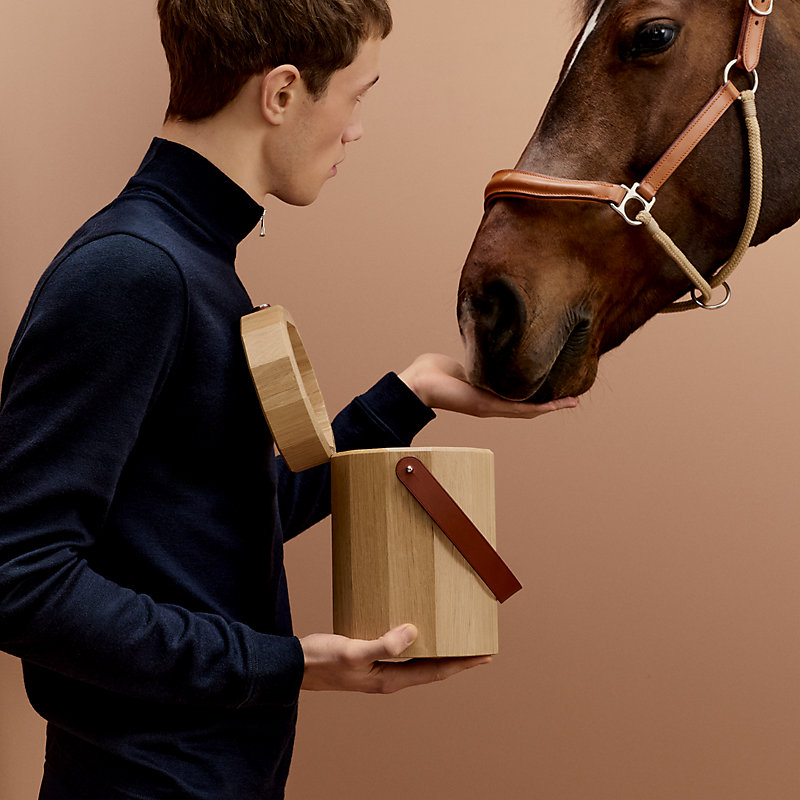 Horse treat box | Hermès USA